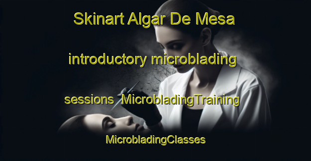 Skinart Algar De Mesa introductory microblading sessions | #MicrobladingTraining #MicrobladingClasses #SkinartTraining-Spain