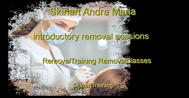 Skinart Andra Maria introductory removal sessions | #RemovalTraining #RemovalClasses #SkinartTraining-Spain