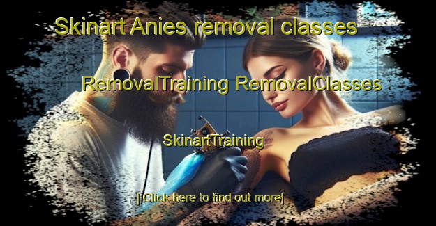 Skinart Anies removal classes | #RemovalTraining #RemovalClasses #SkinartTraining-Spain