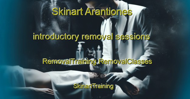 Skinart Arantiones introductory removal sessions | #RemovalTraining #RemovalClasses #SkinartTraining-Spain