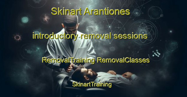 Skinart Arantiones introductory removal sessions | #RemovalTraining #RemovalClasses #SkinartTraining-Spain