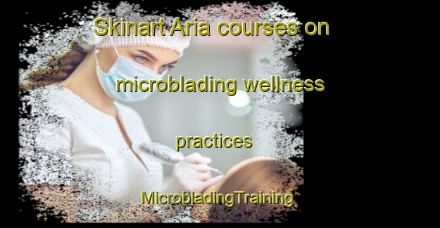 Skinart Aria courses on microblading wellness practices | #MicrobladingTraining #MicrobladingClasses #SkinartTraining-Spain