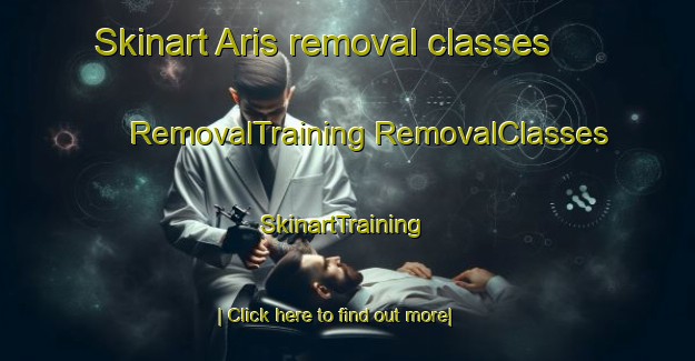 Skinart Aris removal classes | #RemovalTraining #RemovalClasses #SkinartTraining-Spain