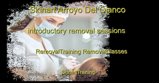 Skinart Arroyo Del Ojanco introductory removal sessions | #RemovalTraining #RemovalClasses #SkinartTraining-Spain