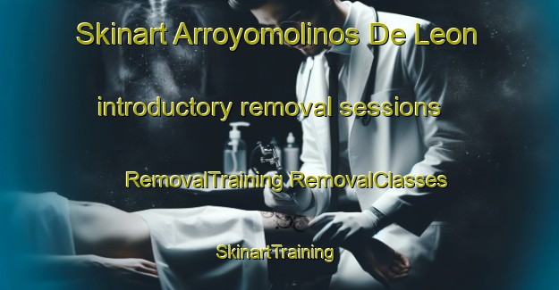 Skinart Arroyomolinos De Leon introductory removal sessions | #RemovalTraining #RemovalClasses #SkinartTraining-Spain