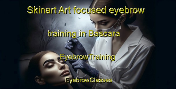 Skinart Art-focused eyebrow training in Bascara | EyebrowTraining | EyebrowClasses | SkinartTraining-Spain