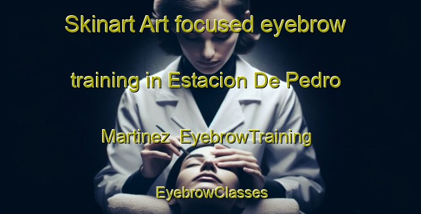 Skinart Art-focused eyebrow training in Estacion De Pedro Martinez | EyebrowTraining | EyebrowClasses | SkinartTraining-Spain