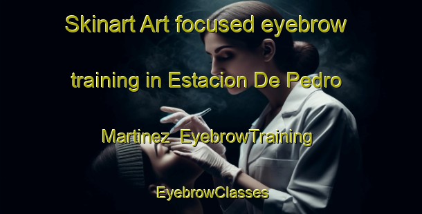 Skinart Art-focused eyebrow training in Estacion De Pedro Martinez | EyebrowTraining | EyebrowClasses | SkinartTraining-Spain