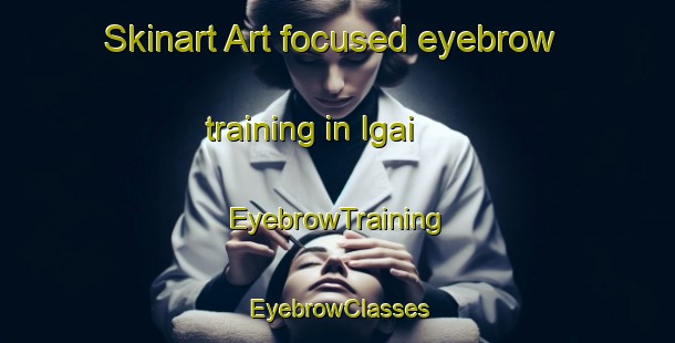 Skinart Art-focused eyebrow training in Igai | EyebrowTraining | EyebrowClasses | SkinartTraining-Spain