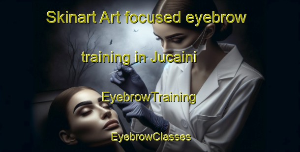 Skinart Art-focused eyebrow training in Jucaini | EyebrowTraining | EyebrowClasses | SkinartTraining-Spain