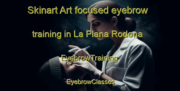 Skinart Art-focused eyebrow training in La Plana Rodona | EyebrowTraining | EyebrowClasses | SkinartTraining-Spain