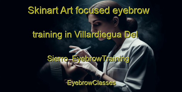 Skinart Art-focused eyebrow training in Villardiegua Del Sierro | EyebrowTraining | EyebrowClasses | SkinartTraining-Spain