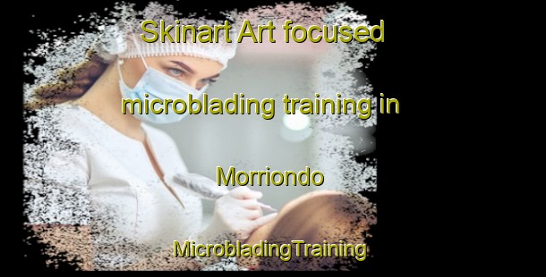 Skinart Art-focused microblading training in Morriondo | #MicrobladingTraining #MicrobladingClasses #SkinartTraining-Spain