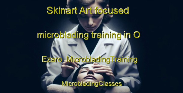 Skinart Art-focused microblading training in O Ezaro | #MicrobladingTraining #MicrobladingClasses #SkinartTraining-Spain