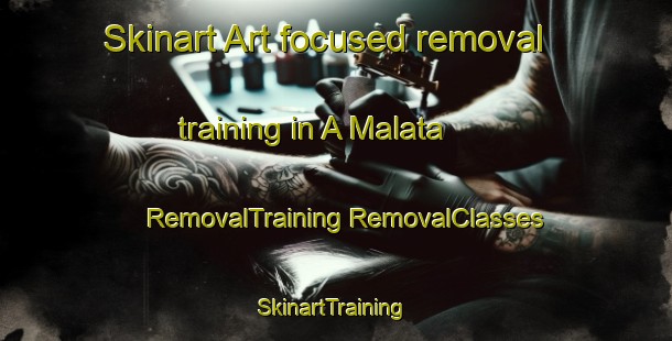 Skinart Art-focused removal training in A Malata | #RemovalTraining #RemovalClasses #SkinartTraining-Spain