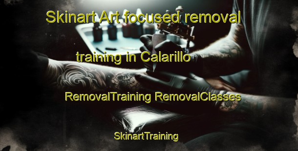 Skinart Art-focused removal training in Calarillo | #RemovalTraining #RemovalClasses #SkinartTraining-Spain