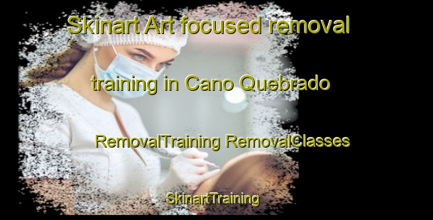 Skinart Art-focused removal training in Cano Quebrado | #RemovalTraining #RemovalClasses #SkinartTraining-Spain