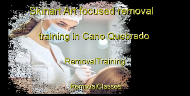 Skinart Art-focused removal training in Cano Quebrado | RemovalTraining | RemovalClasses | SkinartTraining-Spain