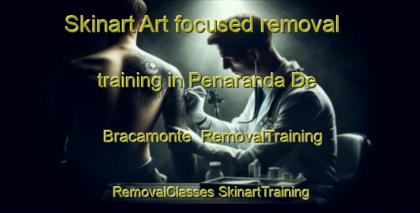 Skinart Art-focused removal training in Penaranda De Bracamonte | #RemovalTraining #RemovalClasses #SkinartTraining-Spain