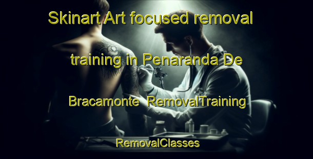 Skinart Art-focused removal training in Penaranda De Bracamonte | RemovalTraining | RemovalClasses | SkinartTraining-Spain