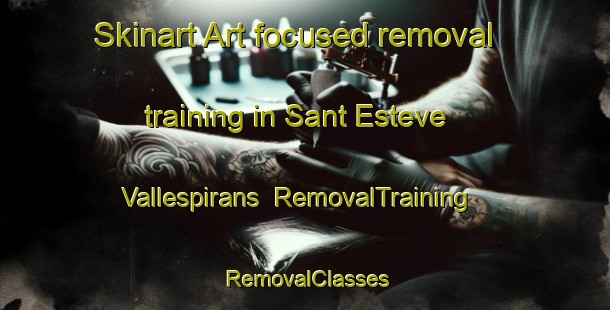 Skinart Art-focused removal training in Sant Esteve Vallespirans | RemovalTraining | RemovalClasses | SkinartTraining-Spain