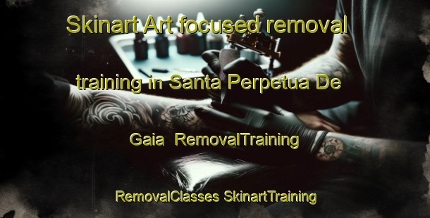 Skinart Art-focused removal training in Santa Perpetua De Gaia | #RemovalTraining #RemovalClasses #SkinartTraining-Spain