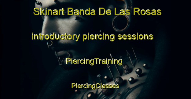 Skinart Banda De Las Rosas introductory piercing sessions | #PiercingTraining #PiercingClasses #SkinartTraining-Spain