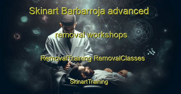 Skinart Barbarroja advanced removal workshops | #RemovalTraining #RemovalClasses #SkinartTraining-Spain