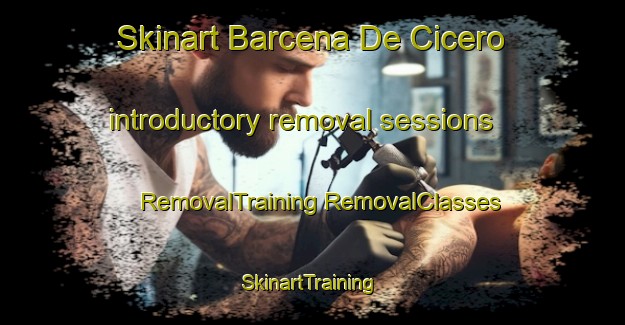 Skinart Barcena De Cicero introductory removal sessions | #RemovalTraining #RemovalClasses #SkinartTraining-Spain