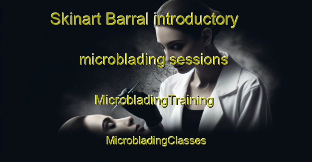 Skinart Barral introductory microblading sessions | #MicrobladingTraining #MicrobladingClasses #SkinartTraining-Spain