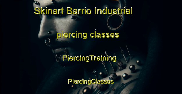 Skinart Barrio Industrial piercing classes | #PiercingTraining #PiercingClasses #SkinartTraining-Spain