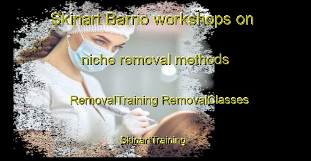 Skinart Barrio workshops on niche removal methods | #RemovalTraining #RemovalClasses #SkinartTraining-Spain