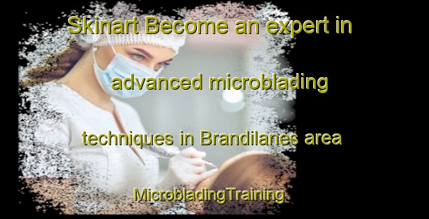 Skinart Become an expert in advanced microblading techniques in Brandilanes area | MicrobladingTraining | MicrobladingClasses | SkinartTraining-Spain