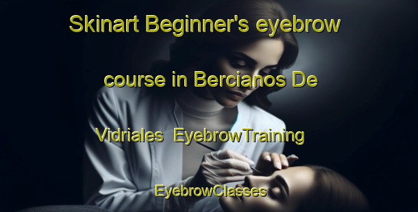 Skinart Beginner's eyebrow course in Bercianos De Vidriales | EyebrowTraining | EyebrowClasses | SkinartTraining-Spain
