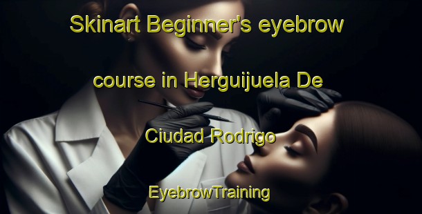 Skinart Beginner's eyebrow course in Herguijuela De Ciudad Rodrigo | EyebrowTraining | EyebrowClasses | SkinartTraining-Spain