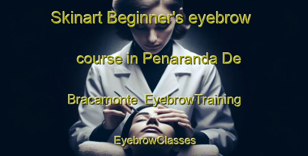 Skinart Beginner's eyebrow course in Penaranda De Bracamonte | EyebrowTraining | EyebrowClasses | SkinartTraining-Spain