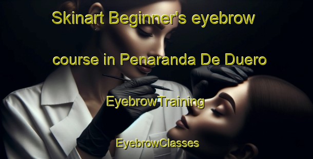 Skinart Beginner's eyebrow course in Penaranda De Duero | EyebrowTraining | EyebrowClasses | SkinartTraining-Spain