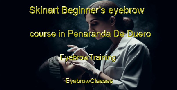 Skinart Beginner's eyebrow course in Penaranda De Duero | EyebrowTraining | EyebrowClasses | SkinartTraining-Spain