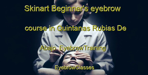 Skinart Beginner's eyebrow course in Quintanas Rubias De Abajo | EyebrowTraining | EyebrowClasses | SkinartTraining-Spain
