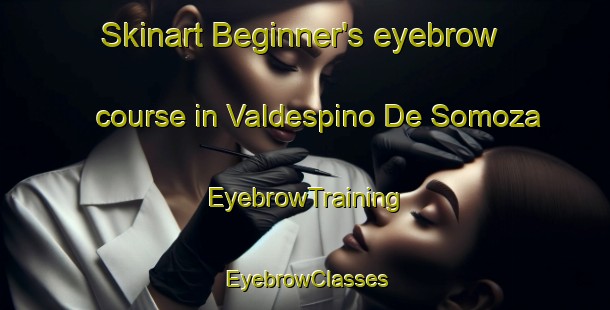 Skinart Beginner's eyebrow course in Valdespino De Somoza | EyebrowTraining | EyebrowClasses | SkinartTraining-Spain