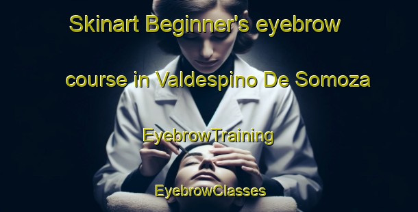 Skinart Beginner's eyebrow course in Valdespino De Somoza | EyebrowTraining | EyebrowClasses | SkinartTraining-Spain