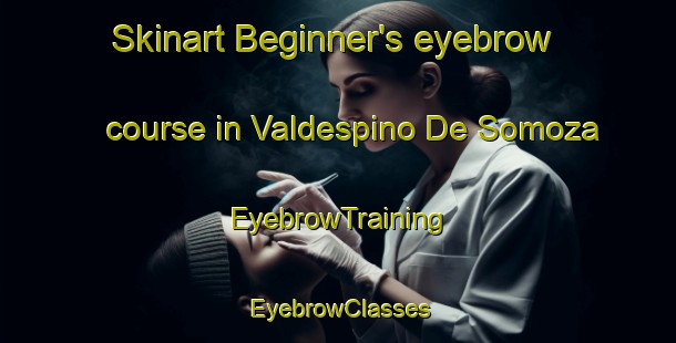 Skinart Beginner's eyebrow course in Valdespino De Somoza | EyebrowTraining | EyebrowClasses | SkinartTraining-Spain