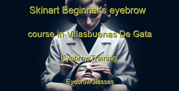 Skinart Beginner's eyebrow course in Villasbuenas De Gata | EyebrowTraining | EyebrowClasses | SkinartTraining-Spain