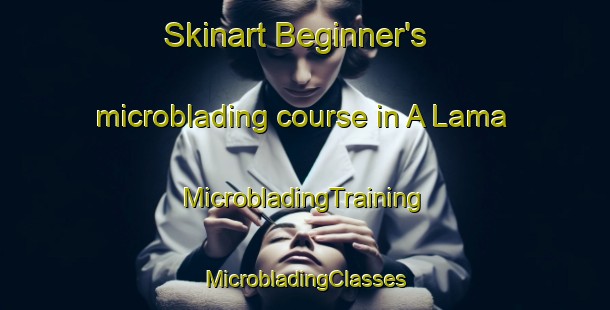 Skinart Beginner's microblading course in A Lama | #MicrobladingTraining #MicrobladingClasses #SkinartTraining-Spain