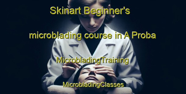 Skinart Beginner's microblading course in A Proba | #MicrobladingTraining #MicrobladingClasses #SkinartTraining-Spain