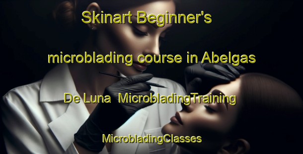 Skinart Beginner's microblading course in Abelgas De Luna | #MicrobladingTraining #MicrobladingClasses #SkinartTraining-Spain