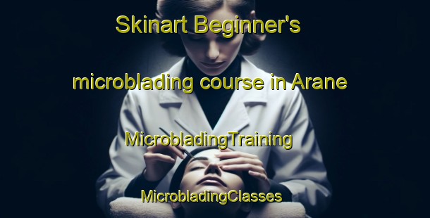 Skinart Beginner's microblading course in Arane | MicrobladingTraining | MicrobladingClasses | SkinartTraining-Spain