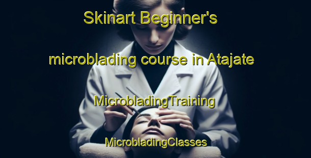 Skinart Beginner's microblading course in Atajate | #MicrobladingTraining #MicrobladingClasses #SkinartTraining-Spain