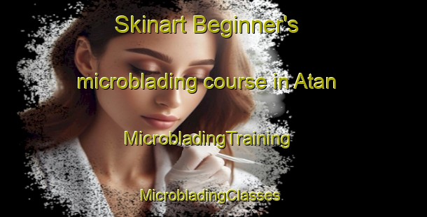 Skinart Beginner's microblading course in Atan | MicrobladingTraining | MicrobladingClasses | SkinartTraining-Spain