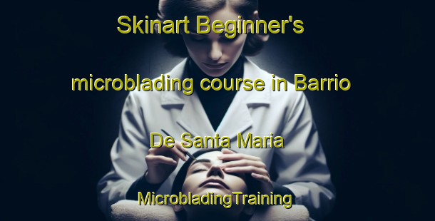 Skinart Beginner's microblading course in Barrio De Santa Maria | #MicrobladingTraining #MicrobladingClasses #SkinartTraining-Spain